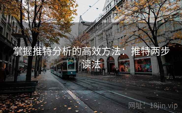 掌握推特分析的高效方法：推特两步读法